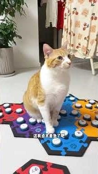 Top Pet Care Tips for Spring - Support Mom's Furry Friends EverythingIsLovelyPlan