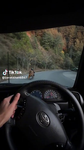 Driving Through Autumn: A Scenic Journey