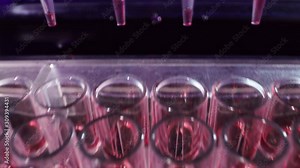 Modern PCR test robotic machine, molecular genetic research laboratory, Automated DNA Processor real-time PCR cycler.