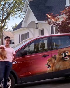 632 reactions · 42 shares | We help you save an average of up to $507 on auto insurance to help you follow your dreams...and your dog’s dreams. | State Farm | Facebook