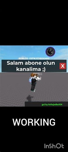 i made a RC7 from Temu