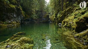 45K views · 377 reactions | It's time to start planning your summer getaways! Oregonian travel reporter Jamie Hale is ready to help, offering up his favorite spots in the state including out-of-the-way gems and some unexpected natural treasures. | The Oregonian | Facebook
