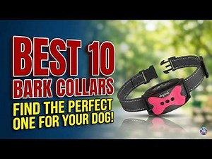 Bark Collar : Which are the Best Bark Collars in 2026?