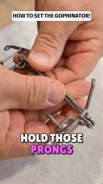 Mastering the Gophinator Trap Setup!