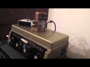 Catalinbread Echorec vs Binson Echorec