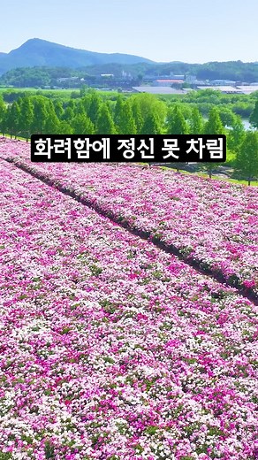 5월 국내 여행지 추천: 합천과 핫플 탐방
