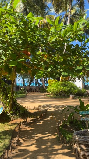 🌴✨ LAS TERRENAS, DOMINICAN REPUBLIC — HIDDEN GEM BY THE OCEAN ✨🌴 📍 Las Terrenas 💬 “Las Terrenas feels like a perfect mix of the Caribbean and Europe — relaxed, stylish, and incredibly beautiful.” 🏖️ Why our clients fall in love with Las Terrenas: 🌊 long white-sand beaches & turquoise water 🌴 lush palms, sunsets, calm atmosphere 🍽️ excellent restaurants & beach clubs 🚶‍♀️ walkable town, cozy cafés, local vibe ✨ ideal for couples, relaxed luxury & slow travel 🏨 Hand-picked hotels we reco