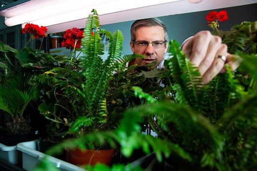 Online Biological Sciences Degree - Biology BS | ASU Online