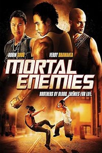 Mortal Enemies - Movie