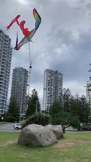 🪁 Kite flying weather, Gold Coast edition. | Blue Kite Support