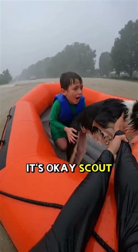 Rescuing a Boy and His Dog From a Sinking SUV