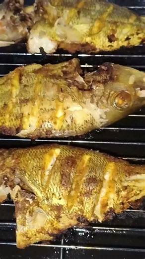fish oven grilled with white rice #food #cooking