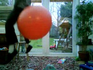 xtream Space hopper bouncing