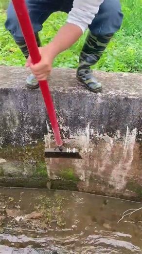 Clean Moss from Gutters: A Step-by-Step Guide