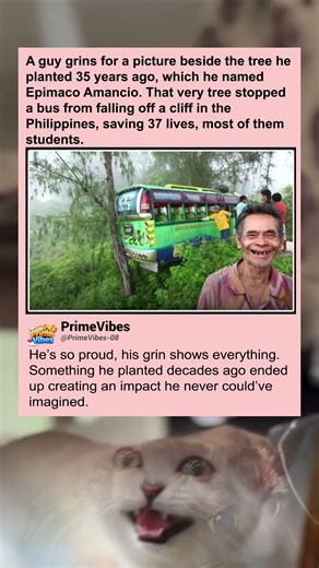 Planting a tree literally saved 37 people 🌳🥺 #memes