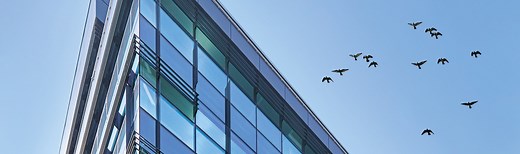Bird Friendly glass : protect birds with patterns & coatings