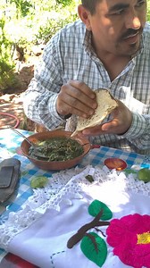 El quelite es muy nutritivo un alimento que nos regala nuestra madre tierra 🍃 | David Araujo En El Rancho