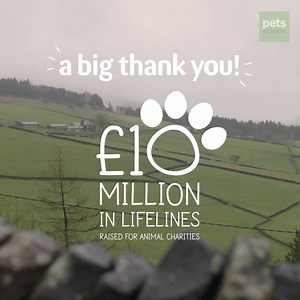 As a VIP club member, have you ever wondered what swiping your VIP card at the till does? Keep watching…🙌 | Pets UK