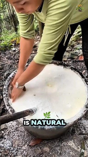Tapping Trees for Rubber — So Satisfying!
