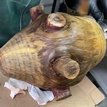 Monkey Puzzle Wood Turned Into Something Beautiful #woodturning #lathe #woodworking