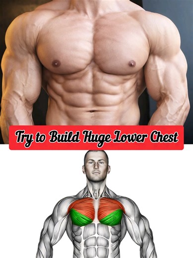 Lower Chest Destruction Workout 💥 Build a Thick, Powerful Chest From Now Description: If you want a lower chest that looks solid, heavy, and powerful from every angle, this workout is for you. A weak lower chest can ruin your entire physique, no matter how big your arms or shoulders are. From now on, there is no waiting, no excuses—only focused work and real intensity. In this video, I break down a highly effective lower chest workout that builds thickness, depth, and control. These exercises a