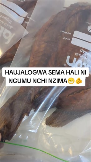 Mr. samaki (@mr..samaki)’s videos with original sound - Ancient Mother_Official🐚🌊⛈️