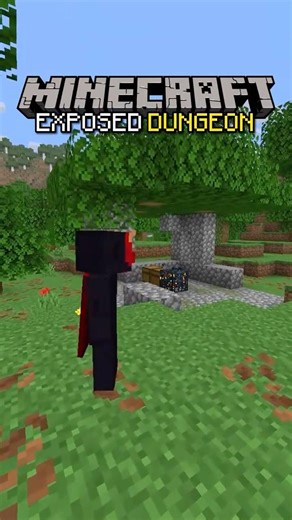EXPOSED Dungeon Seed (ONLY ONE EVER FOUND!)