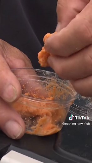 umpan mancing #mancing #wader