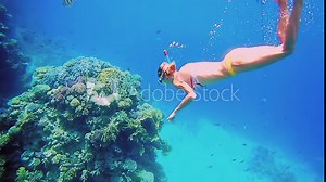 Beautiful woman dive underwater in snorkeling diving mask into clear blue sea water. Tropical underwater reef diving. Woman with a good figure slow motion shot. Stock Video