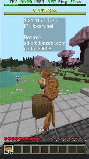 Come Play on the Best Semi-Anarchy Minecraft SMP Server, Full Java and Bedrock with Voice Chat