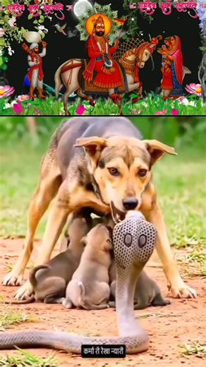 जय बाबा री 🙏🙇🌺 सा#ramdevra#ramdevji#bhakti#travel#shorts#ytshorts#viral#short0