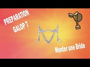 PRÉPARATION GALOP 7 : MONTER UNE BRIDE