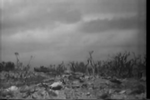 2.2K views · 274 reactions | THE BATTLE OF IWO JIMA (19 February – 26 March 1945)  1) GV-MS Men fight fire on burning P-51 on Iwo Jima airfield, using foamite (SV). 2) LS Marines cautiously advance across very rough terrain, Iwo Jima (SV). 3) LS Marines run & advance across open ground. 4) MS Tank uses flame thrower on Japanese position. ORIGINAL HISTORIC WARTIME CAPTION. (NARA) | Jessamyn Harter | Facebook