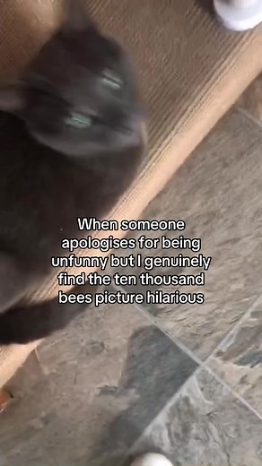 Thousand Bees meme explained: why 'ten thousand bees' is so funny