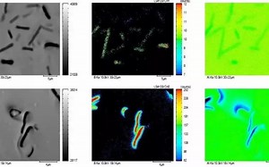材料分析-EPMA电子探针