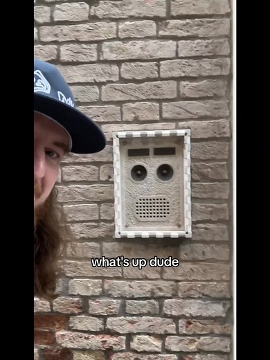 Venice Mailbox Roast - Funny Guy Roasting Mailboxes