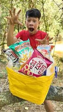 EASY Ways to Save the ENVIRONMENT Now