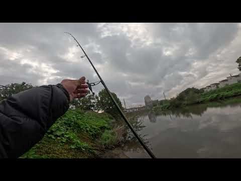 OSP Bent Minnow Magic! Surface Action in Japan 4K Video!!