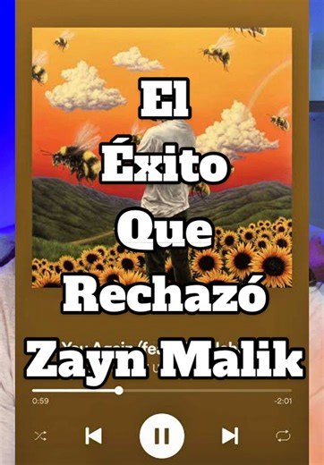El éxito que rechazó Zayn Malik…muy sutilmente #CapCut #viralvideotiktok #zaynmalik #tylerthecreator #kaliuchis #axeceremonia #concierto #cdmx #mexico #seeyouagain #cancion