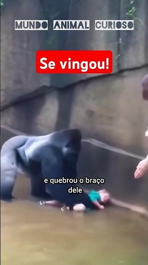 ANIMAIS QUE SE VINGARAM DE HUMANOS. #curiosidades #animal #mundoanimal