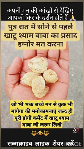 खाटू श्याम जी के प्रसाद को अनदेखा न करें #khatushyam​ #vishnu​ #vishnubhajan​