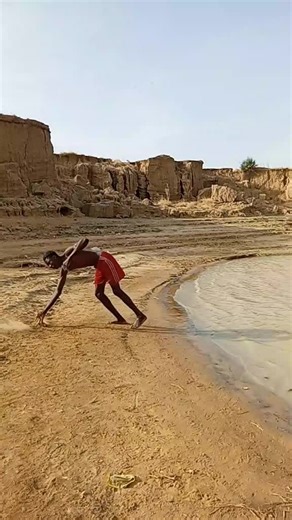 La Sorpresa de un Perrito en su Cumpleaños