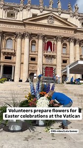 5K views · 1.4K reactions | Dozens of volunteers prepared more than 50,000 flowers in St. Peter’s Square ahead of #Easter celebrations #Vatican. CNS photographer @lolagomezc spent the morning with them and got some behind the scenes footage of them at work. | Catholic News Service | Facebook