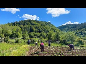 Türkiye Dağ Köyünde Yaşam. Yükseklerde Köy Hayatı. Belgesel