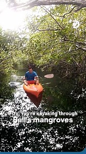 Not all adventures are on mountains or beaches. Sometimes, it’s in the flooded forests. September in Bali brings a secret: kayak trails through mangroves that exist only when the rains come. 🌿Monsoon isn’t the season to stay in, it’s the season to explore. Would you go #OffTrack? #DiscoverySouthEastAsia #DiscoveryChannel #Discovery #Bali #Kayaking | Discovery Channel Southeast Asia