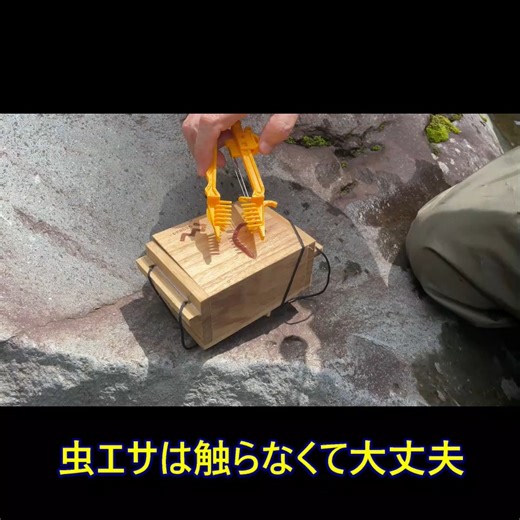 サワラーズ プラス Semi-automatic Worm Threader on Instagram: "#キス #ハゼ #サワラーズ #worm threader #semi-automatic worm threader #trout fishing #wormfishing #troutfishing #wormthreader #carpfishing"
