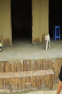 48K views · 1.9K reactions | Two little hearts shine brightest when the family gathers together. ✨ #FamilyFirst #LoveForever #HomeAndHeart #Togetherness #PureSmiles #JoyfulLiving | Infoworld | Facebook