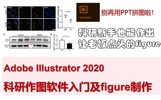 【科研作图软件】Adobe Illustrator入门及figure制作