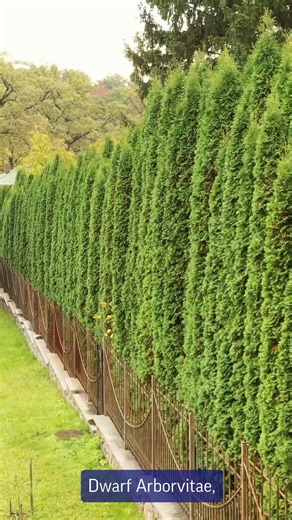 DTE Energy provides gas & electric utility services to MI homes and businesses. For more information, visit https: / /www. Dteenergy. Com | DTE Energy | Facebook