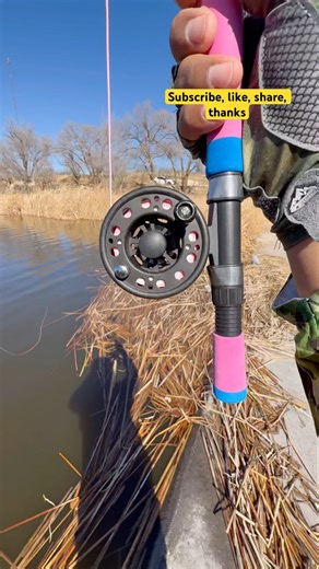 Tips Casting A fly Rod for fly fishing#fishing#youtubeshorts#shortvideo#viralvideo#shorts#viral#tips